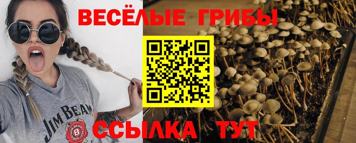 Псилоцибиновые грибы ЛСД Зеленодольск
