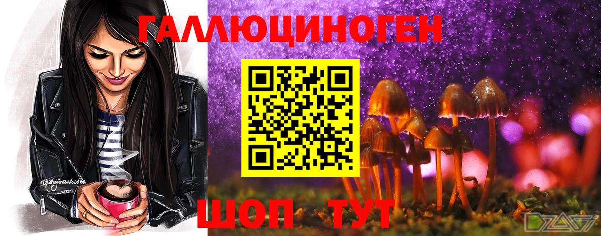 Псилоцибиновые грибы Psilocybe  Вход с VPN  Зеленодольск 